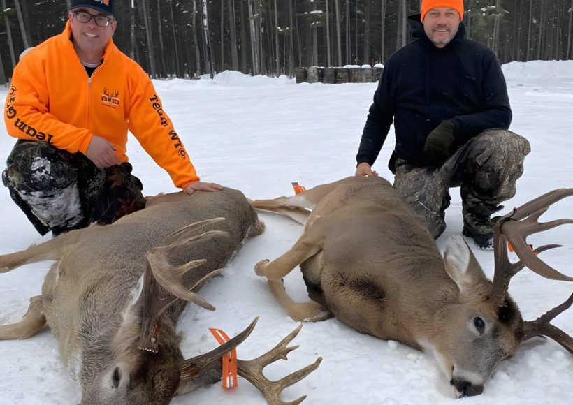 White-tailed deer, hunting, Shipman, Saskatchewan