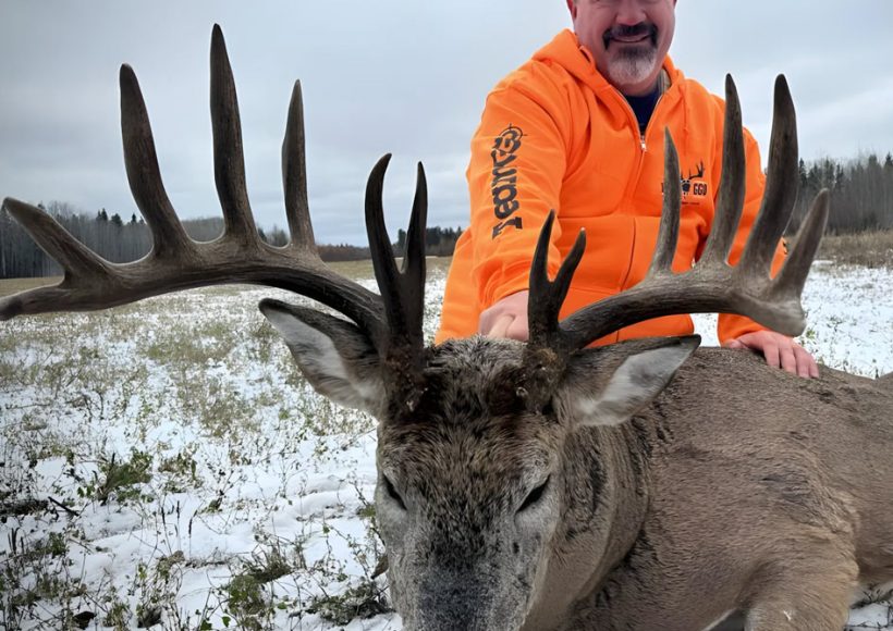 White-tailed deer, hunting, Shipman, Saskatchewan