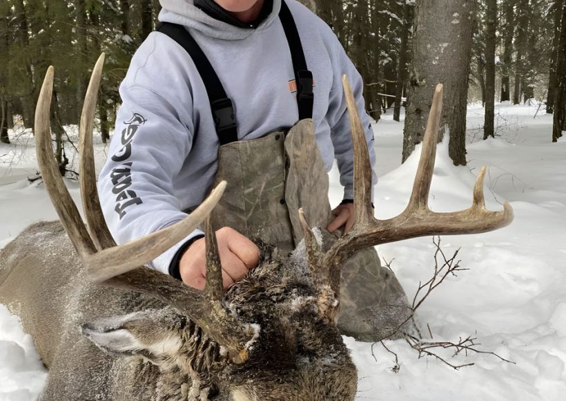 White-tailed deer, hunting, Shipman, Saskatchewan