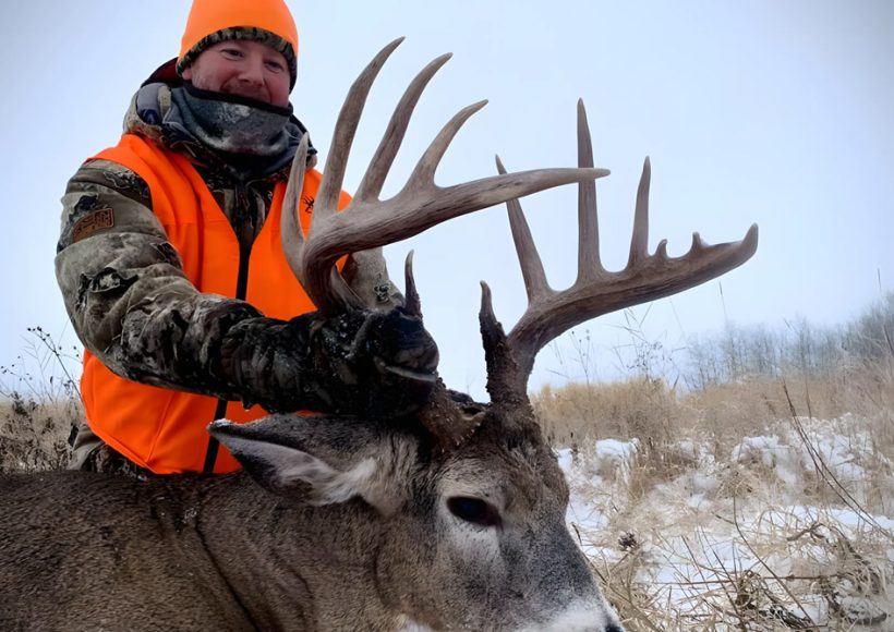 White-tailed deer, hunting, Shipman, Saskatchewan