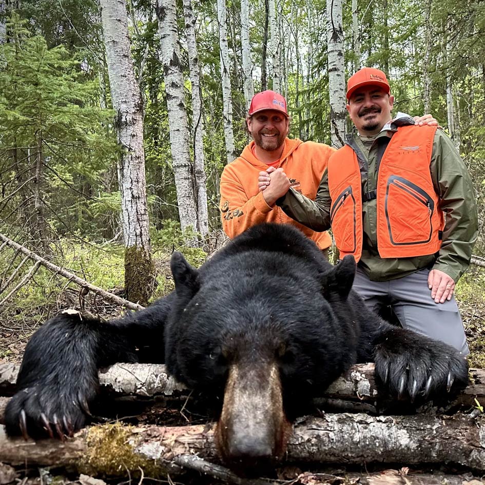 Black bear, hunting, Shipman, Saskatchewan
