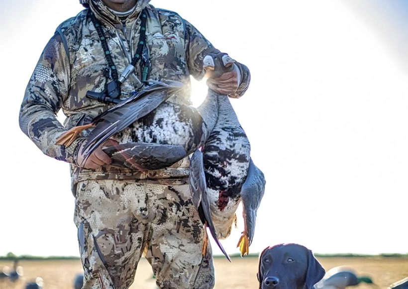 Waterfowl, hunting, Shipman, Saskatchewan