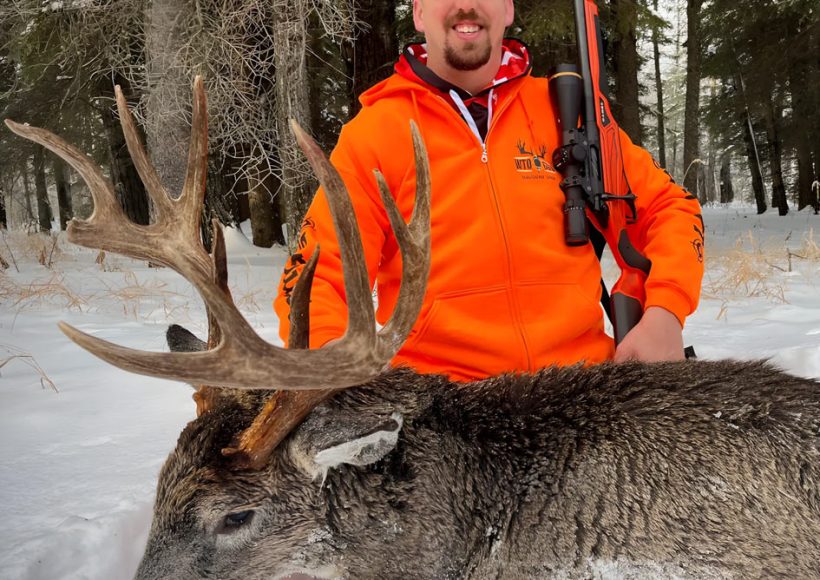 White-tailed deer, hunting, Shipman, Saskatchewan