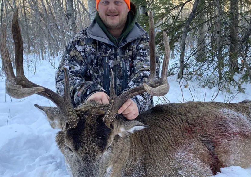 White-tailed deer, hunting, Shipman, Saskatchewan