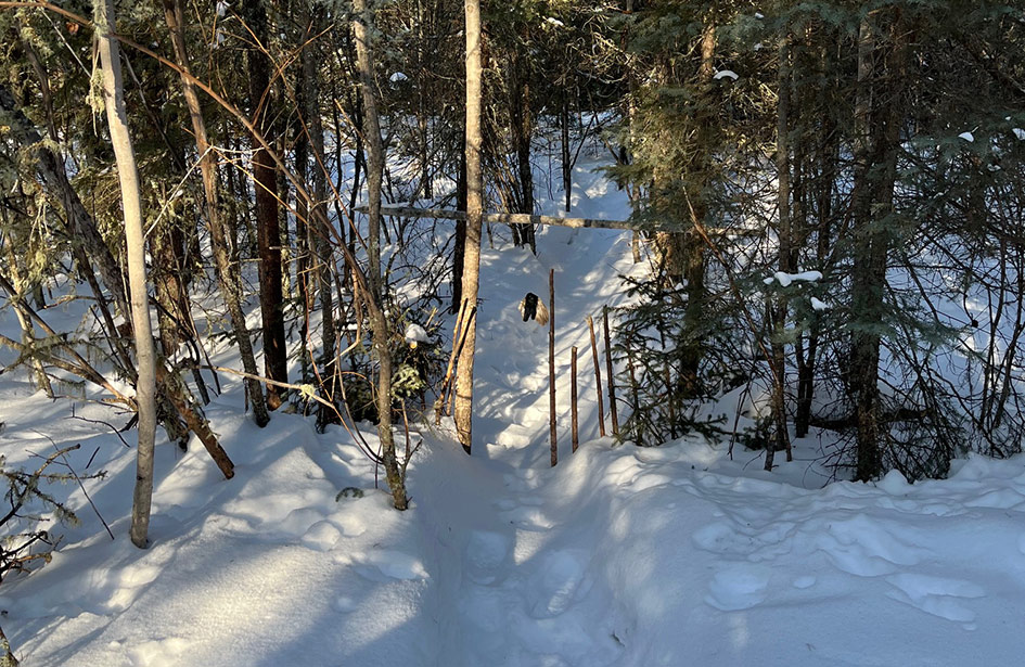 initiation-forest-trapping-outfitter-shipman-saskatchewan-03
