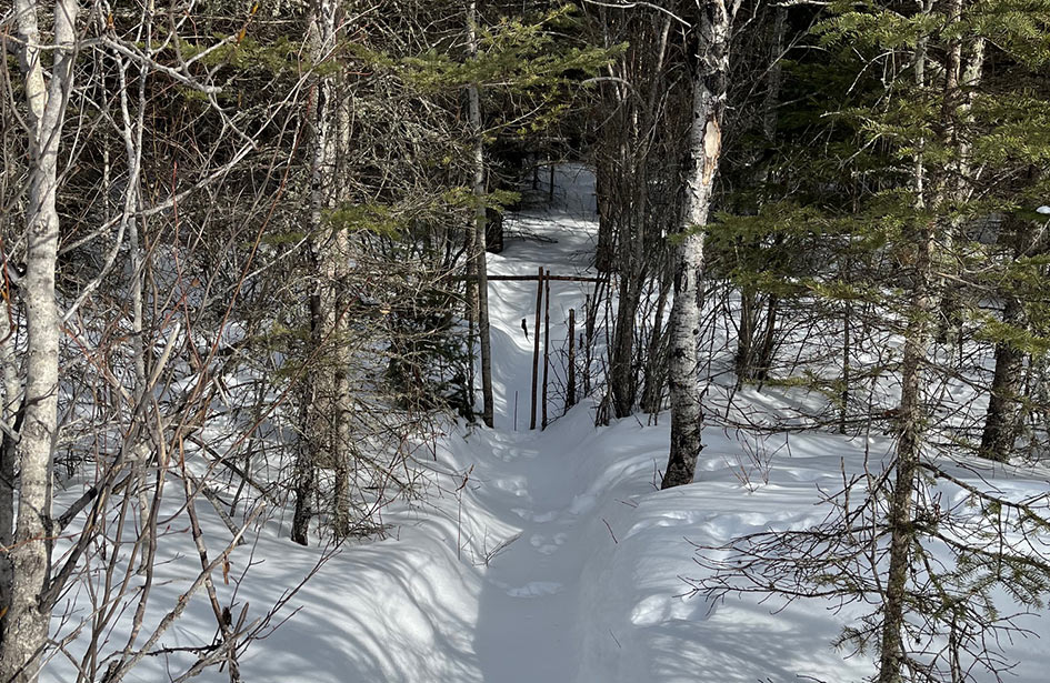 initiation-forest-trapping-outfitter-shipman-saskatchewan-05