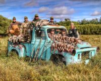Waterfowl, Hunting, Saskatchewan